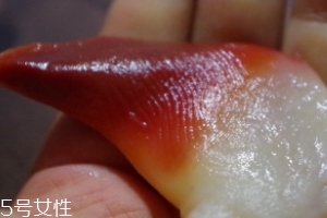 北極貝能不能煮？煮北極貝可以嗎？
