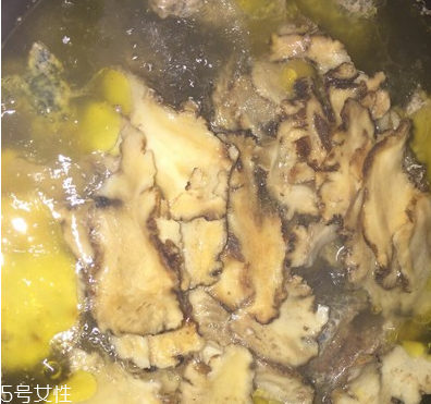 烏骨雞是烏雞嗎？烏骨雞是什么雞？
