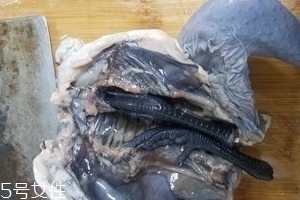 烏雞是公雞好還是母雞好？烏雞買公雞還是母雞？