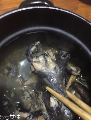 烏雞是公雞好還是母雞好？烏雞買公雞還是母雞？
