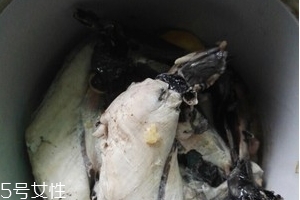 烏雞是熱性還是涼性？烏雞偏熱還是偏涼？