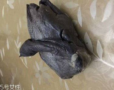 烏雞是熱性還是涼性？烏雞偏熱還是偏涼？
