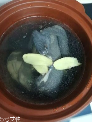 烏雞是熱性還是涼性？烏雞偏熱還是偏涼？