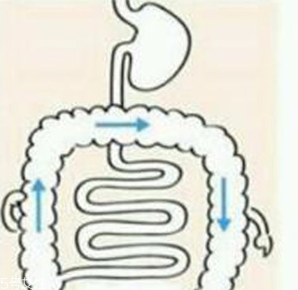 開塞露躺著還是蹲著用？開塞露使用姿勢