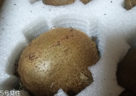 綠心獼猴桃硬的能吃嗎？硬的綠心獼猴桃能吃嗎？