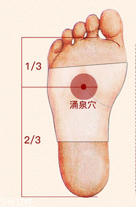 溢涌堂老北京足貼價(jià)錢 溢涌堂老北京足貼多少錢？