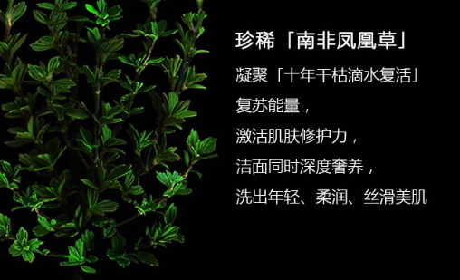 阿瑪尼洗面奶怎么樣？阿瑪尼洗面奶評(píng)測(cè)