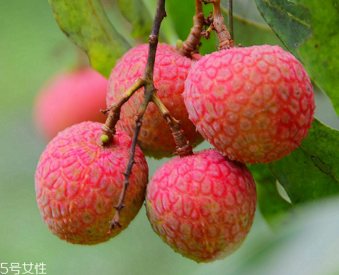 荔枝是涼性還是熱性？月經(jīng)來了能吃荔枝嗎