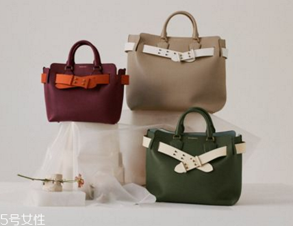 burberry the belt bag多少錢(qián)？巴寶莉貝爾特包專(zhuān)柜價(jià)格