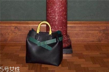 burberry the belt是什么皮？巴寶莉貝爾特包材質(zhì)