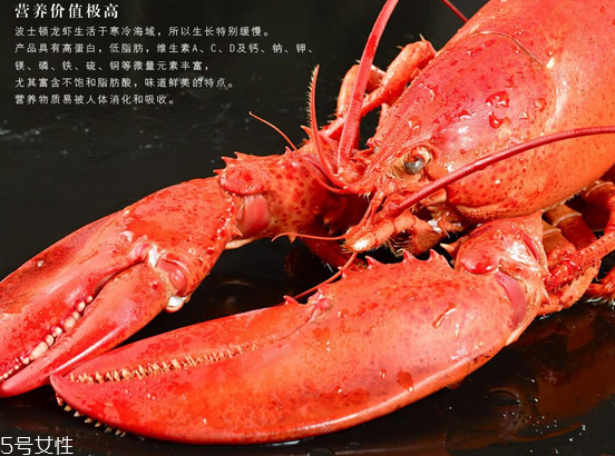 波士頓龍蝦頭里綠色的是什么？