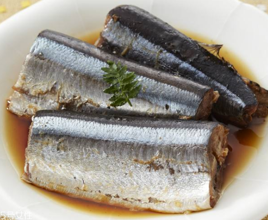 青魚怎么釣？青魚可以用什么餌料？