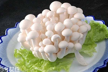 白玉菇和海鮮菇的區(qū)別 白玉菇和海鮮菇是一樣的嗎？