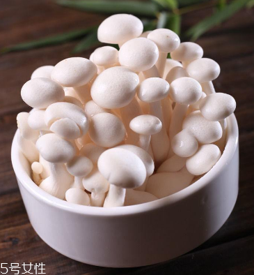 白玉菇為什么是苦的？白玉菇怎么會苦？