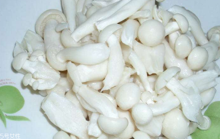 白玉菇為什么是苦的？白玉菇怎么會苦？