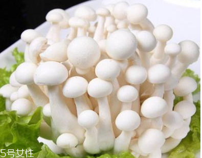 白玉菇的選購(gòu)技巧 白玉菇怎么挑選？