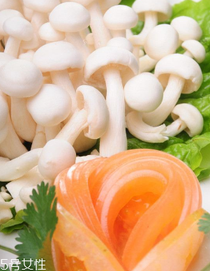 白玉菇和金針菇的區(qū)別 白玉菇是金針菇嗎？