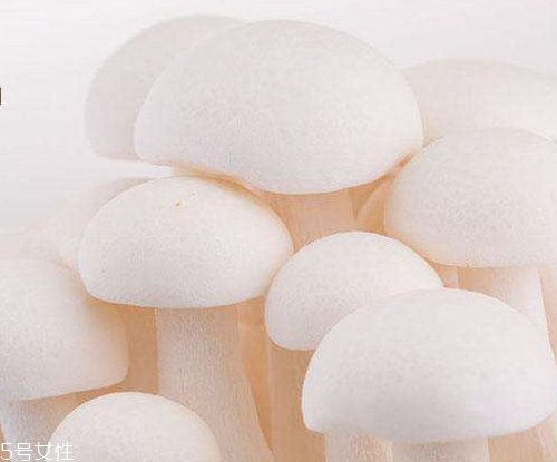 白玉菇的吃法 白玉菇能燉雞嗎？
