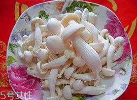 白玉菇能和西紅柿一起吃嗎？白玉菇能和番茄一起吃嗎？