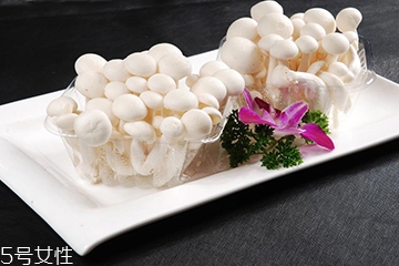 白玉菇長(zhǎng)白毛是怎么回事？白玉菇長(zhǎng)白毛還能吃嗎？