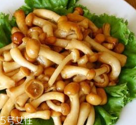 滑子菇的功效 滑子菇有什么作用？