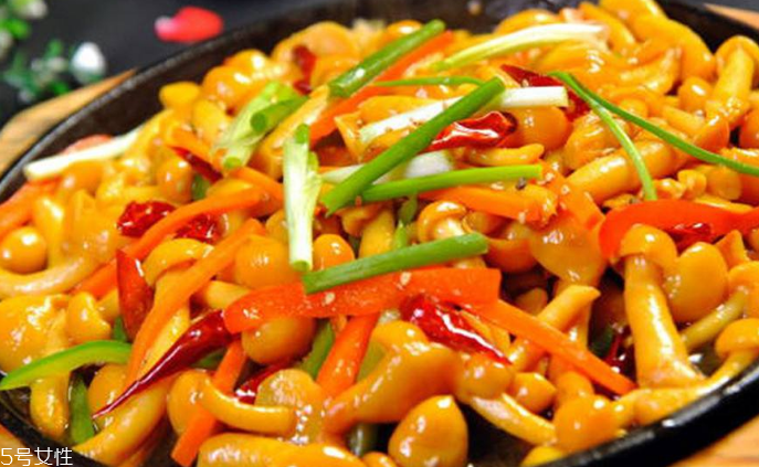 滑子菇野生和滑子菇養(yǎng)殖的區(qū)別 野生滑子菇的好嗎？