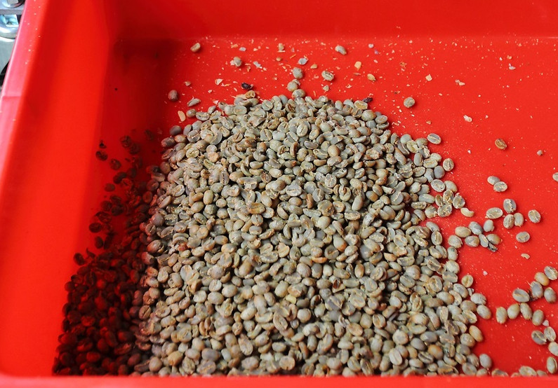 咖啡豆新豆、舊豆、老豆各有什么特色