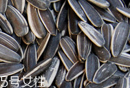 葵瓜子的熱量 葵瓜子會長胖嗎？