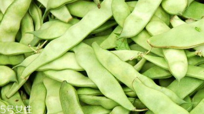 蕓豆是什么？蕓豆是豆角嗎？