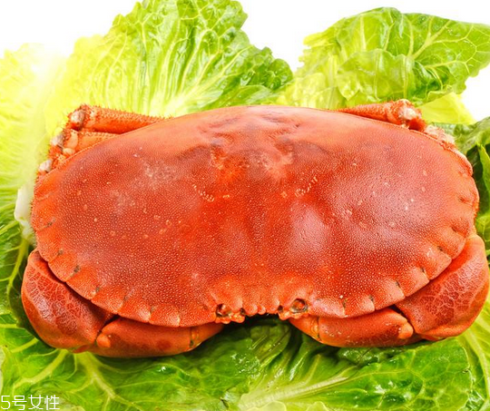面包蟹肉多嗎？面包蟹幾月份最肥