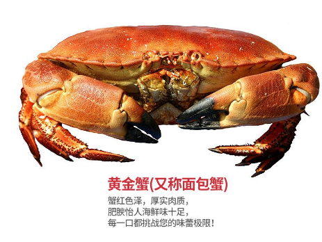 面包蟹肉多嗎？面包蟹幾月份最肥
