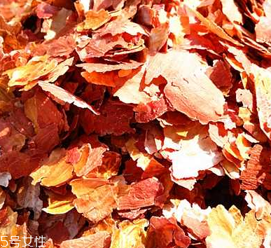 花生衣是什么？花生衣可以吃嗎？