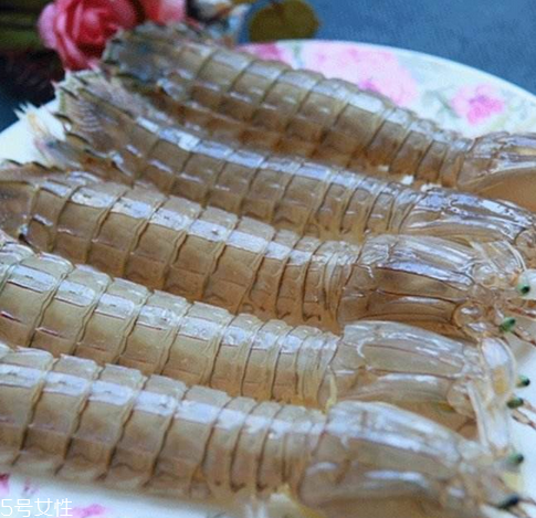 皮皮蝦能長多大？皮皮蝦最大有多大？
