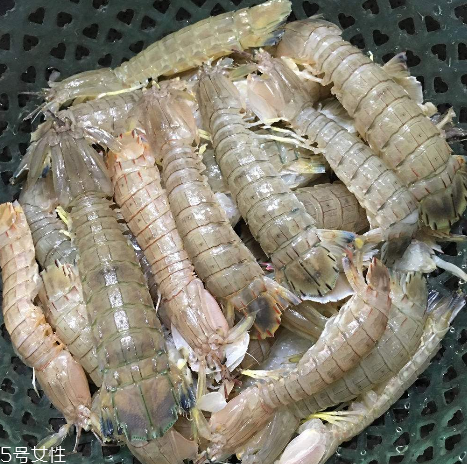 皮皮蝦能和櫻桃一起吃嗎？皮皮蝦和櫻桃可以同吃嗎？