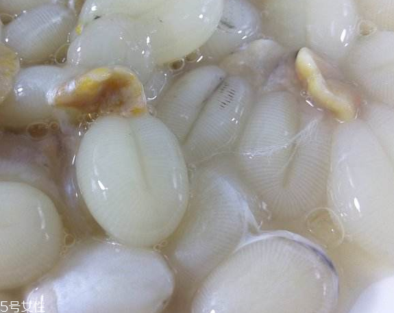 墨魚蛋的做法 墨魚蛋怎么做？