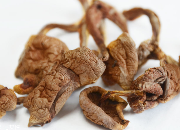 榛蘑和蘿卜相克嗎？榛蘑能不能和蘿卜一起吃？