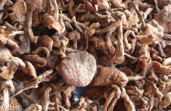 榛蘑和木耳的區(qū)別 榛蘑和木耳能一起吃嗎？
