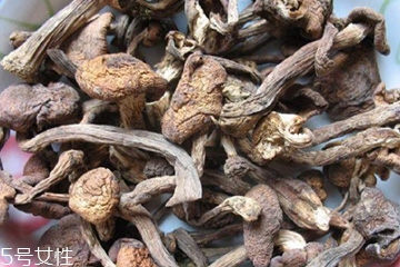 榛蘑和木耳的區(qū)別 榛蘑和木耳能一起吃嗎？