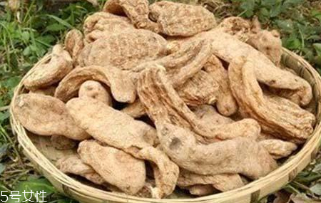 榛蘑和天麻的關(guān)系 榛蘑和天麻有什么聯(lián)系？