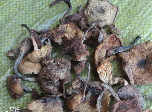 榛蘑能保存多久？干榛蘑怎么保存最好？