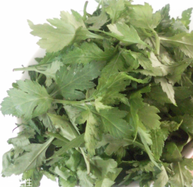 菊花腦怎么挑選？菊花腦選購(gòu)技法