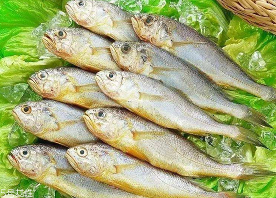 黃花魚去鱗嗎？黃花魚去內(nèi)臟嗎？