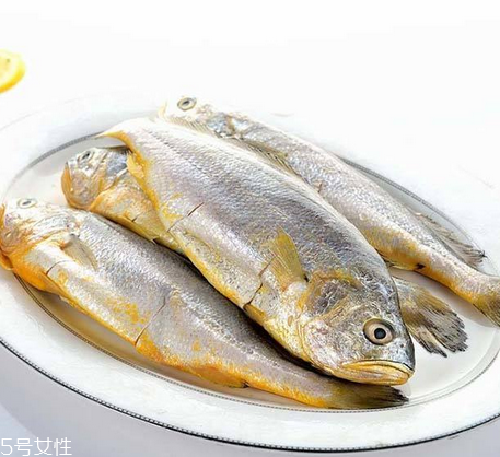 黃花魚為什么都是死的？死黃花魚可以吃嗎？