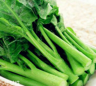 芥蘭是芥菜嗎？芥蘭和芥菜的區(qū)別