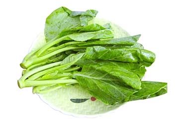 芥蘭是中藥還是蔬菜？芥蘭是蔬菜嗎？