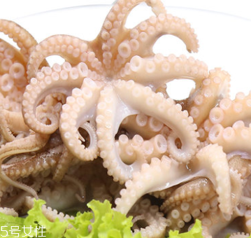 章魚是什么顏色？章魚是什么樣子？
