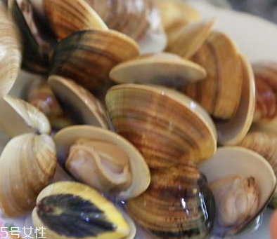 文蛤是海鮮還是河鮮？文蛤是海鮮嗎？