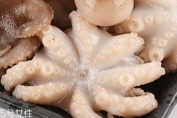 章魚可以炸嗎？章魚能油炸嗎？