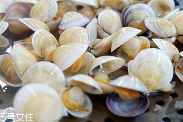 文蛤是淡水還是海水？文蛤是淡水水產嗎？