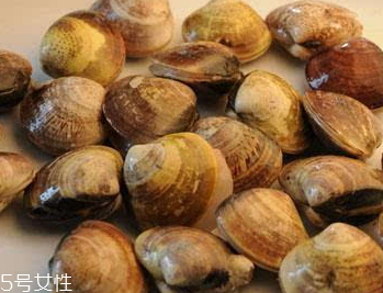 文蛤是冷水煮還是熱水？文蛤是用熱水嗎？